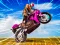Игра Crazy Wheelie Motorider онлайн