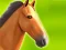 Игра Horse Run 3D онлайн