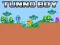Игра Tunno Boy онлайн