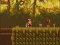 Игра The Lost Forest онлайн