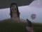 Игра The Island of Momo онлайн