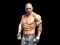 Игра Fight Arena Online онлайн