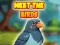 Игра Meet The Birds онлайн