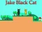Игра Jake Black Cat онлайн