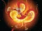 Игра Chinese Dragons Coloring онлайн