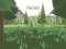 Игра Precision онлайн