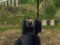 Игра Army Shooter онлайн