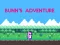 Игра Bunn's Adventure онлайн