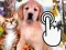 Игра Pets Clicker онлайн
