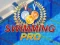 Игра Swimming Pro онлайн
