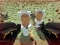 Игра Shooting Survival Skibidi Toilet онлайн