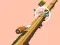 Игра Spiral Rush онлайн