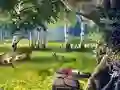 Игра Scout Camp онлайн
