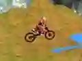 Игра Moto Trials Temple онлайн