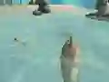 Игра Shark Simulator Beach Killer онлайн