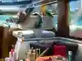 Игра Caribbean Crime онлайн