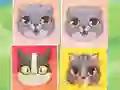 Игра Kitten Match онлайн