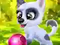 Игра Happy Dog онлайн