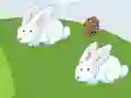 Игра Crazy Eggs онлайн