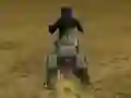 Игра Real Moto Stunts Challenge онлайн
