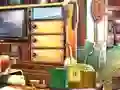 Игра Essential Cleaning онлайн