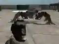 Игра Mech Aggression онлайн