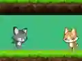 Игра Cat vs Dog онлайн