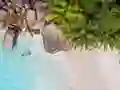 Игра Seychelles Beach Jigsaw Puzzle онлайн