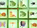 Игра Find The Insect онлайн