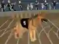 Игра Crazy Dog Racing Fever онлайн
