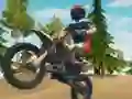 Игра Dirt Bike Enduro Racing онлайн
