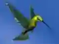 Игра Hummingbird House Escape онлайн