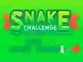 Игра Snake Challenge онлайн