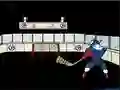 Игра Capitaine Cage Hockey онлайн
