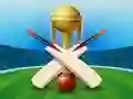 Игра Cricket Champions Cup онлайн