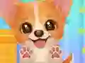 Игра Adopt Your Pet Puppy онлайн
