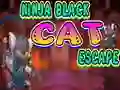 Игра Ninja Black Cat Escape онлайн
