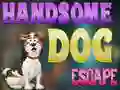 Игра Handsome Dog Escape онлайн