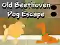 Игра Old Beethoven Dog Escape онлайн
