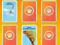 Игра National Geographic Kids Matching онлайн