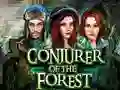 Игра Conjurer Of The Forest онлайн