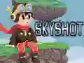 Игра Skyshot онлайн