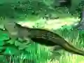 Игра Lizard Forest Escape онлайн