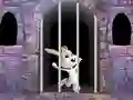 Игра Victory Rabbit Escape онлайн