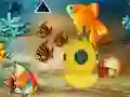 Игра Save The Mother Fish онлайн