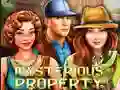 Игра Mysterious Property онлайн