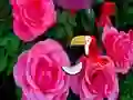 Игра Precious Rose Escape онлайн