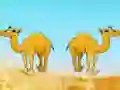 Игра Desert Gold Rush The Great Treasure Escape онлайн