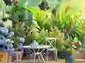 Игра Find The Cute Pandas онлайн