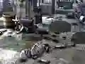 Игра Friends Rescue From Skeleton онлайн